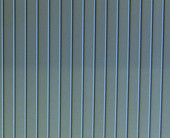 lichtgrau